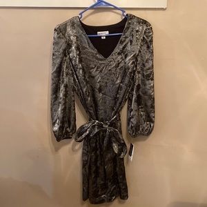 Crushed velvet silver dress - brand new - tags on